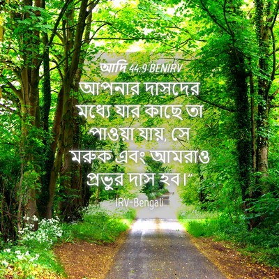 Picture 04 - আদি 44:9 BENIRV - আপনার দাসদের - Bible Verse Picture