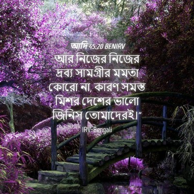 Picture 04 - আদি 45:20 BENIRV - আর নিজের নিজের - Bible Verse Picture