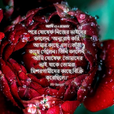 Picture 04 - আদি 45:4 BENIRV - পরে যোষেফ নিজের - Bible Verse Picture