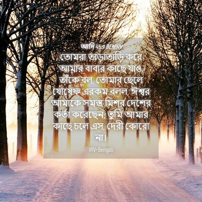 Picture 04 - আদি 45:9 BENIRV - তোমরা তাড়াতাড়ি - Bible Verse Picture