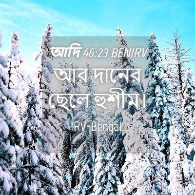 Picture 04 - আদি 46:23 BENIRV - আর দানের ছেলে - Bible Verse Picture