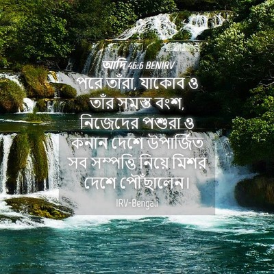 Picture 04 - আদি 46:6 BENIRV - পরে তাঁরা, যাকোব ও - Bible Verse Picture