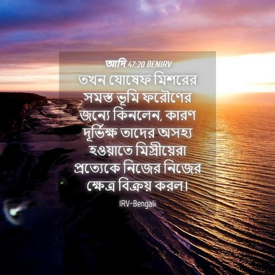 Picture 04 - আদি 47:20 BENIRV - তখন যোষেফ মিশরের - Bible Verse Picture