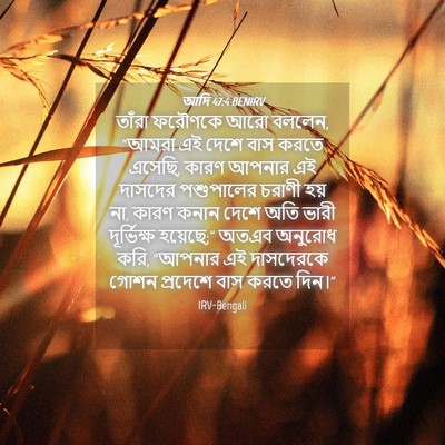 Picture 04 - আদি 47:4 BENIRV - তাঁরা ফরৌণকে আরো - Bible Verse Picture