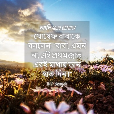 Picture 04 - আদি 48:18 BENIRV - যোষেফ বাবাকে - Bible Verse Picture