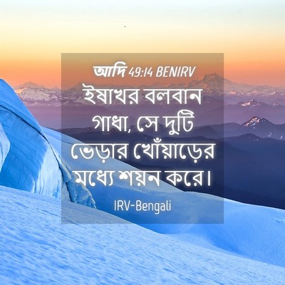 Picture 04 - আদি 49:14 BENIRV - ইষাখর বলবান গাধা, - Bible Verse Picture