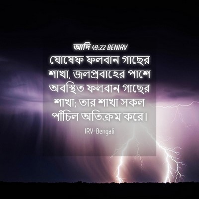 Picture 04 - আদি 49:22 BENIRV - যোষেফ ফলবান গাছের - Bible Verse Picture