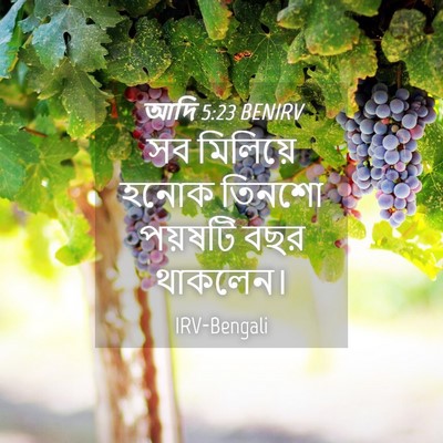 Picture 04 - আদি 5:23 BENIRV - সব মিলিয়ে হনোক - Bible Verse Picture
