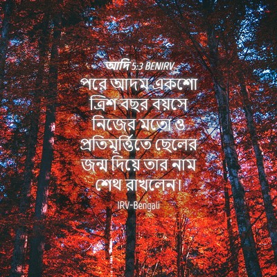 Picture 04 - আদি 5:3 BENIRV - পরে আদম একশো ত্রিশ - Bible Verse Picture