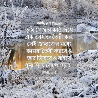 Picture 04 - আদি 6:14 BENIRV - তুমি গোফর কাঠ - Bible Verse Picture
