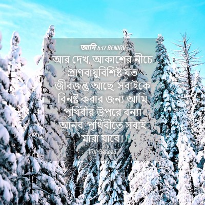 Picture 04 - আদি 6:17 BENIRV - আর দেখ, আকাশের নীচে - Bible Verse Picture