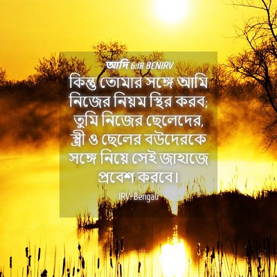 Picture 04 - আদি 6:18 BENIRV - কিন্তু তোমার - Bible Verse Picture