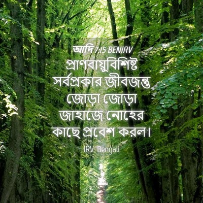 Picture 04 - আদি 7:15 BENIRV -  - Bible Verse Picture