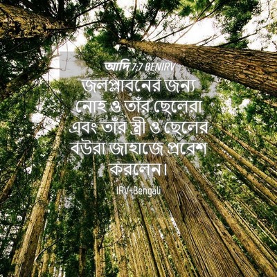 Picture 04 - আদি 7:7 BENIRV - জলপ্লাবনের জন্য - Bible Verse Picture
