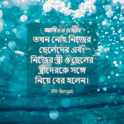 Picture 04 - আদি 8:18 BENIRV - তখন নোহ নিজের - Bible Verse Picture
