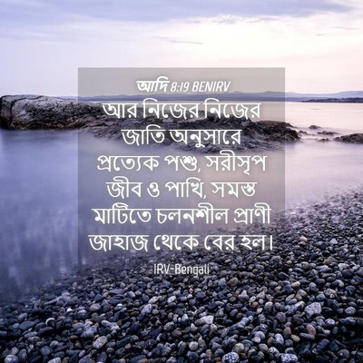 Picture 04 - আদি 8:19 BENIRV - আর নিজের নিজের - Bible Verse Picture