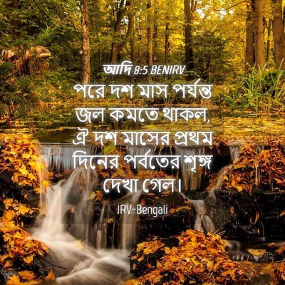 Picture 04 - আদি 8:5 BENIRV - পরে দশ মাস পর্যন্ত - Bible Verse Picture