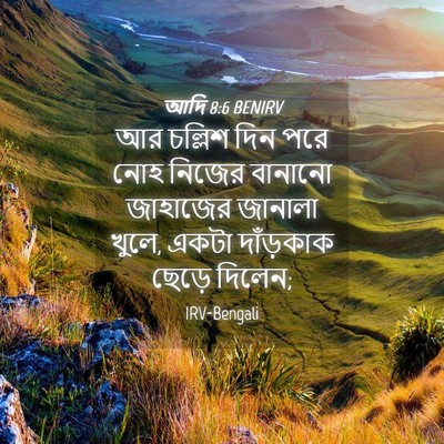 Picture 04 - আদি 8:6 BENIRV - আর চল্লিশ দিন পরে - Bible Verse Picture