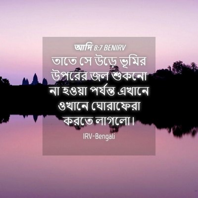 Picture 04 - আদি 8:7 BENIRV - তাতে সে উড়ে ভূমির - Bible Verse Picture
