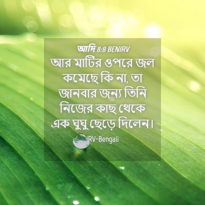 Picture 04 - আদি 8:8 BENIRV - আর মাটির ওপরে জল - Bible Verse Picture