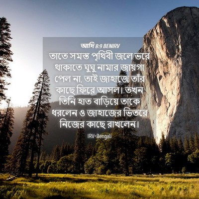 Picture 04 - আদি 8:9 BENIRV - তাতে সমস্ত পৃথিবী - Bible Verse Picture