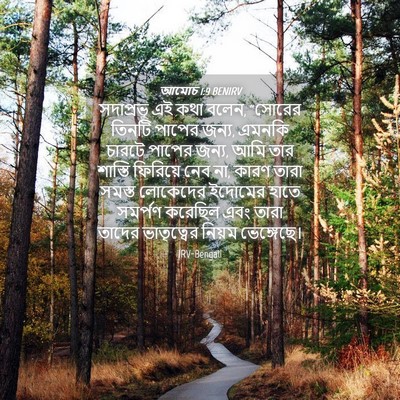 Picture 04 - আমোচ 1:9 BENIRV - সদাপ্রভু এই কথা - Bible Verse Picture