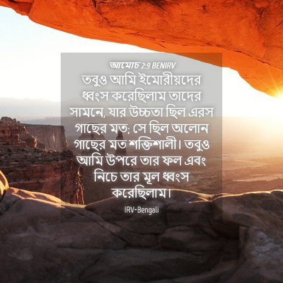 Picture 04 - আমোচ 2:9 BENIRV - তবুও আমি - Bible Verse Picture