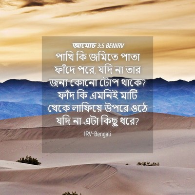 Picture 04 - আমোচ 3:5 BENIRV - পাখি কি জমিতে পাতা - Bible Verse Picture