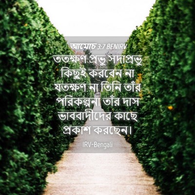 Picture 04 - আমোচ 3:7 BENIRV - ততক্ষণ প্রভু - Bible Verse Picture