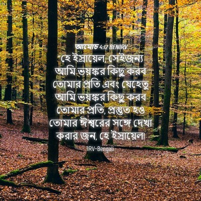 Picture 04 - আমোচ 4:12 BENIRV - “হে ইস্রায়েল, - Bible Verse Picture