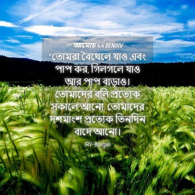 Picture 04 - আমোচ 4:4 BENIRV - “তোমরা বৈথেলে যাও - Bible Verse Picture