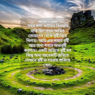 Picture 04 - আমোচ 4:7 BENIRV - “যখন শস্য কাটবার - Bible Verse Picture