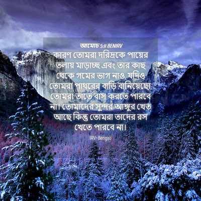 Picture 04 - আমোচ 5:11 BENIRV - কারণ তোমরা - Bible Verse Picture
