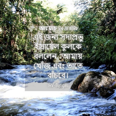 Picture 04 - আমোচ 5:4 BENIRV - এই জন্য সদাপ্রভু - Bible Verse Picture
