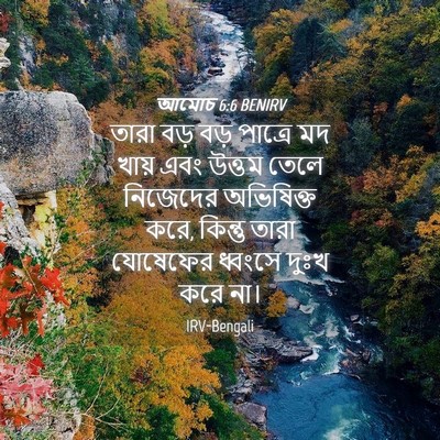 Picture 04 - আমোচ 6:6 BENIRV - তারা বড় বড় - Bible Verse Picture
