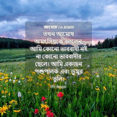 Picture 04 - আমোচ 7:14 BENIRV - তখন আমোষ - Bible Verse Picture