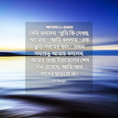 Picture 04 - আমোচ 8:2 BENIRV - তিনি বললেন, “তুমি - Bible Verse Picture