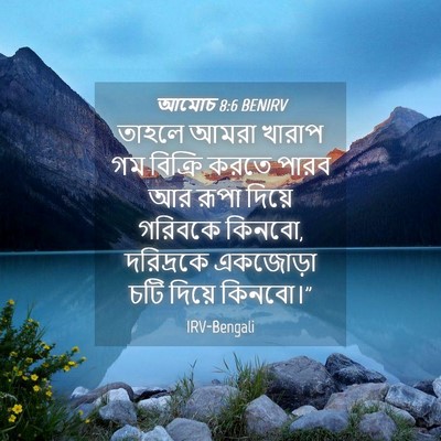 Picture 04 - আমোচ 8:6 BENIRV - তাহলে আমরা খারাপ - Bible Verse Picture