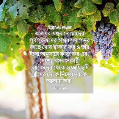 Picture 04 - ইজ্ৰা 10:11 BENIRV - অতএব এখন তোমাদের - Bible Verse Picture