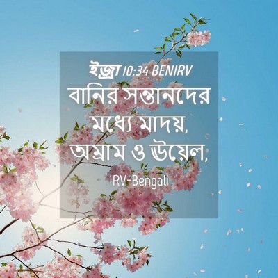 Picture 04 - ইজ্ৰা 10:34 BENIRV - বানির সন্তানদের - Bible Verse Picture