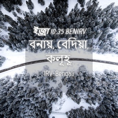 Picture 04 - ইজ্ৰা 10:35 BENIRV - বনায়, বেদিয়া, - Bible Verse Picture