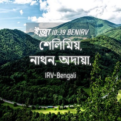 Picture 04 - ইজ্ৰা 10:39 BENIRV - শেলিমিয়, নাথন, - Bible Verse Picture