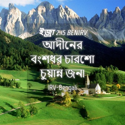 Picture 04 - ইজ্ৰা 2:15 BENIRV - আদীনের বংশধর - Bible Verse Picture