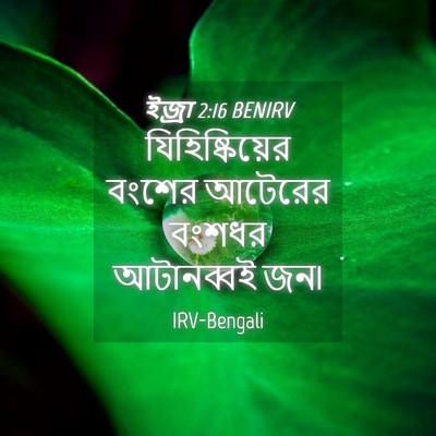 Picture 04 - ইজ্ৰা 2:16 BENIRV - যিহিষ্কিয়ের - Bible Verse Picture