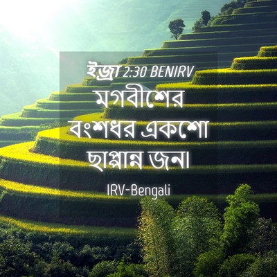 Picture 04 - ইজ্ৰা 2:30 BENIRV - মগবীশের বংশধর - Bible Verse Picture