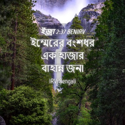 Picture 04 - ইজ্ৰা 2:37 BENIRV - ইম্মেরের বংশধর এক - Bible Verse Picture