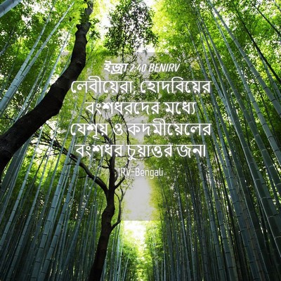 Picture 04 - ইজ্ৰা 2:40 BENIRV - লেবীয়েরা; - Bible Verse Picture