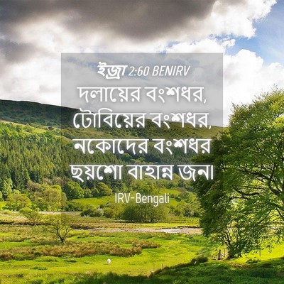 Picture 04 - ইজ্ৰা 2:60 BENIRV - দলায়ের বংশধর, - Bible Verse Picture