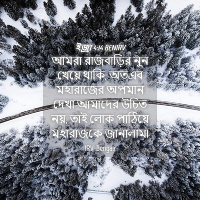 Picture 04 - ইজ্ৰা 4:14 BENIRV - আমরা রাজবাড়ির - Bible Verse Picture