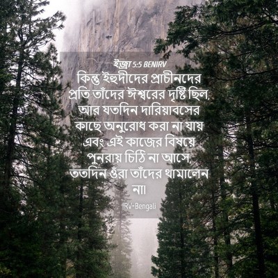 Picture 04 - ইজ্ৰা 5:5 BENIRV - কিন্তু ইহুদীদের - Bible Verse Picture